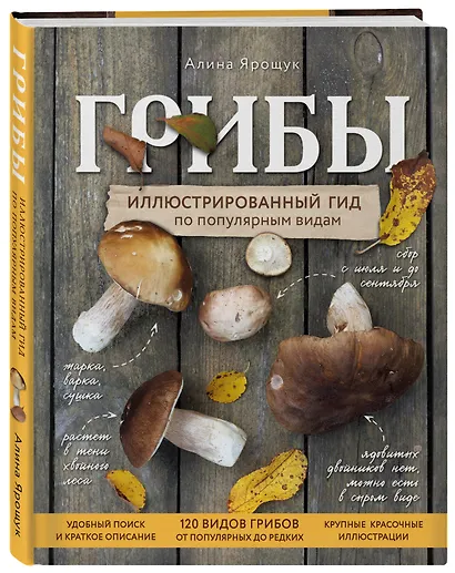 Грибы. Иллюстрированный гид по популярным видам - фото 3