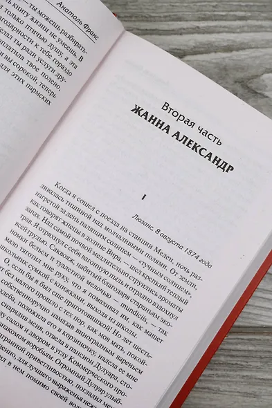 Преступление Сильвестра Бонара. Боги жаждут - фото 10