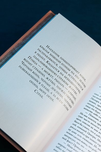 Кровь эльфов - фото 13