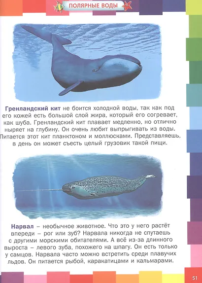 Животные морей и океанов. Энциклопедия для самых маленьких - фото 5