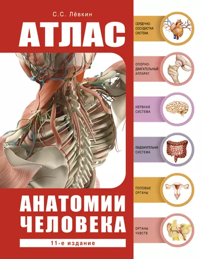 Атлас анатомии человека - фото 1