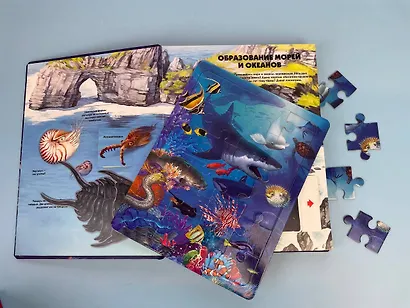 Тайны подводного мира - фото 13