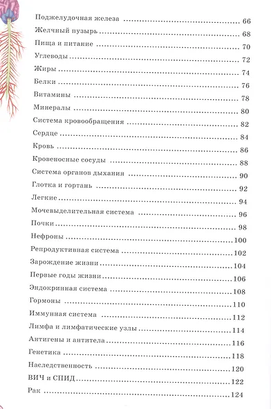 Тело человека - фото 3