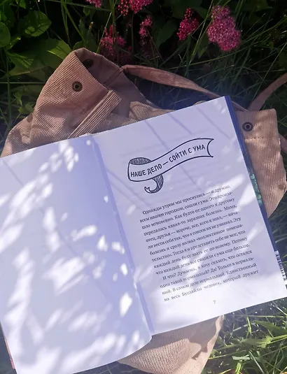 Амир и безумный ингредиент - фото 8