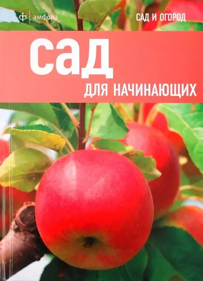 Сад для начинающих - фото 1