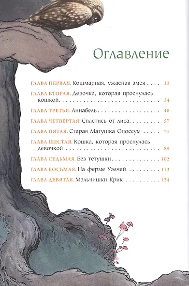 Кошки Дремучего леса (супер) (БолЧемКн) Линт - фото 3