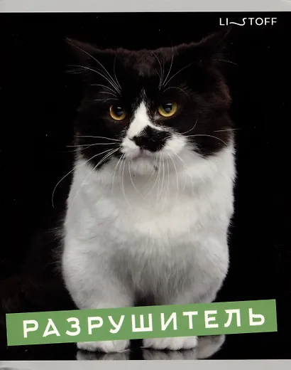 Тетрадь А5 96л кл. "Характер котика" скрепка, мелов.картон, глянц.ламинация, термопленка, офсет, 5 видов - фото 3