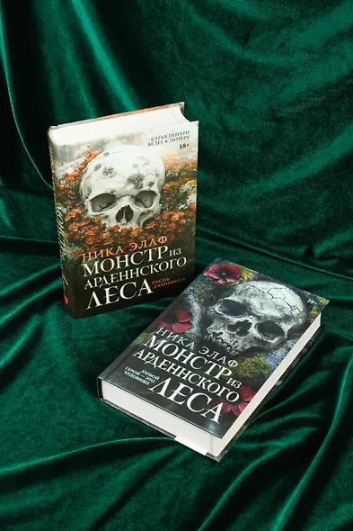 Монстр из Арденнского леса. Песнь лабиринта - фото 12