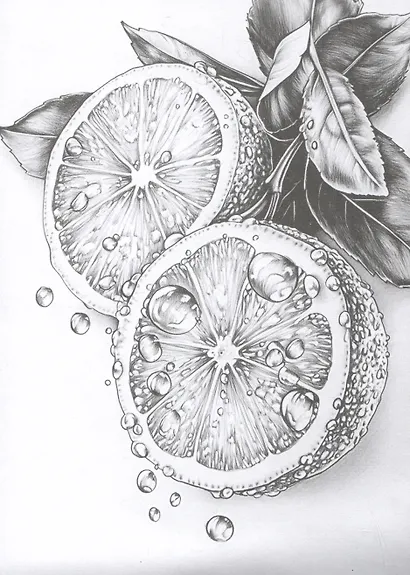 Мои скетчи для начинающих. Эстетика. 15 экскизов для штриховки - фото 5