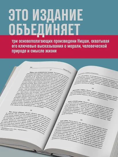 Фридрих Ницше. По ту сторону добра и зла. Человеческое, слишком человеческое. Так говорил Заратустра - фото 5