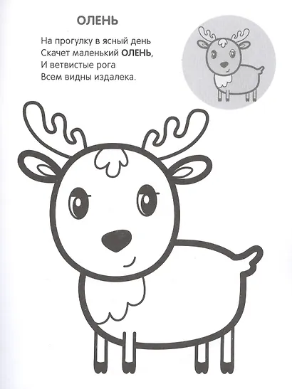 Раскрась по образцу. В лесу - фото 3