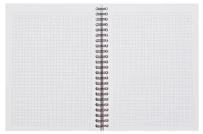 Тетрадь 96 листов в клетку "Blossom. Peonies on black", на спирали - фото 4