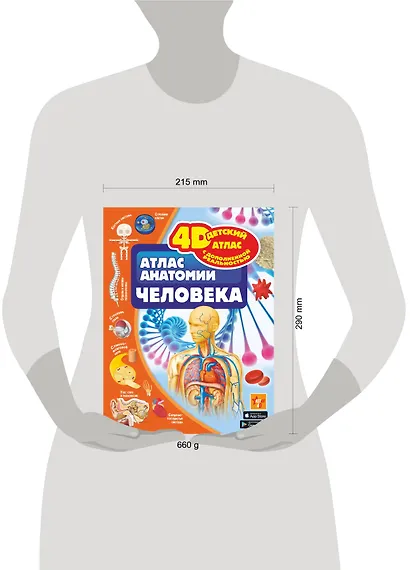 Атлас анатомии человека - фото 9