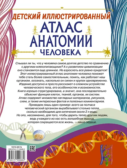 Детский иллюстрированный атлас анатомии человека - фото 2