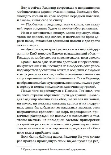 Тень ворона - фото 7