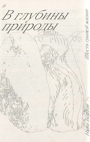 Шесть граней жизни. Повесть о чутком доме и о природе, полной множества языков - фото 5
