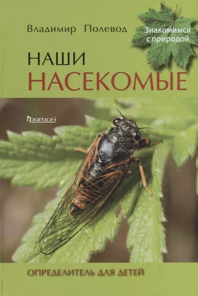 Наши насекомые. Определитель для детей - фото 1