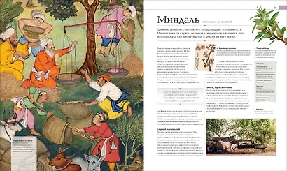 История еды - фото 3