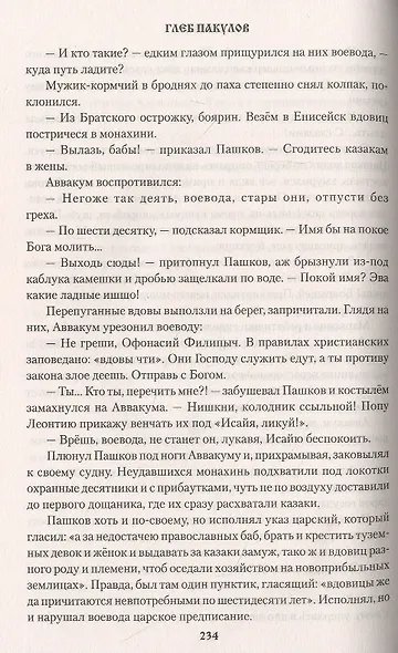 Гарь. Роман - фото 5