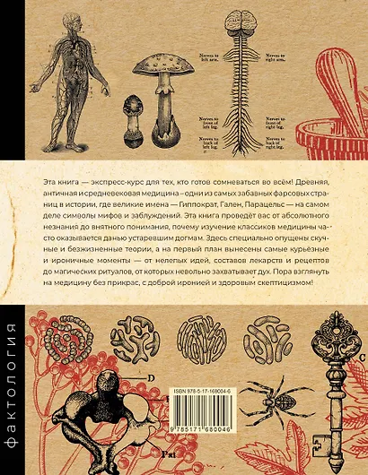 Основы медицины, о которых пора забыть - фото 2