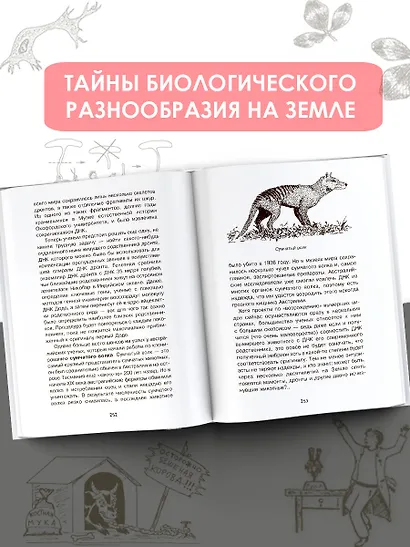 Загадки генетики - фото 5