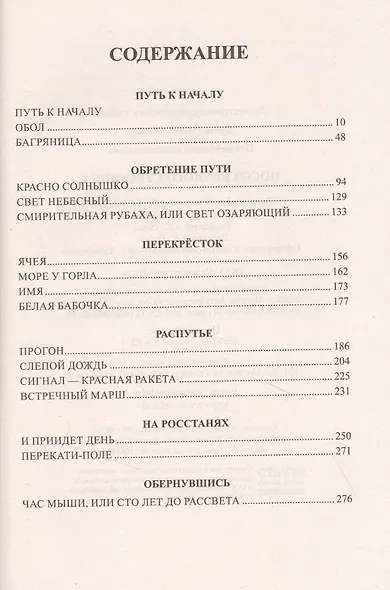 Посох вечного странника - фото 2