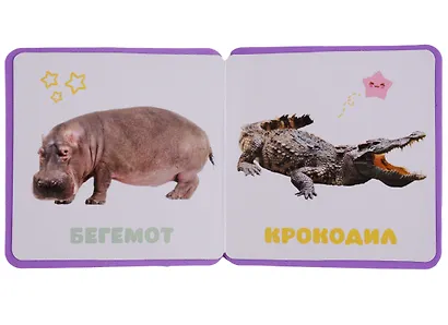 Первые слова Малышариков. Первые слова Крошика - фото 5