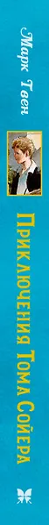 Приключения Тома Сойера - фото 9