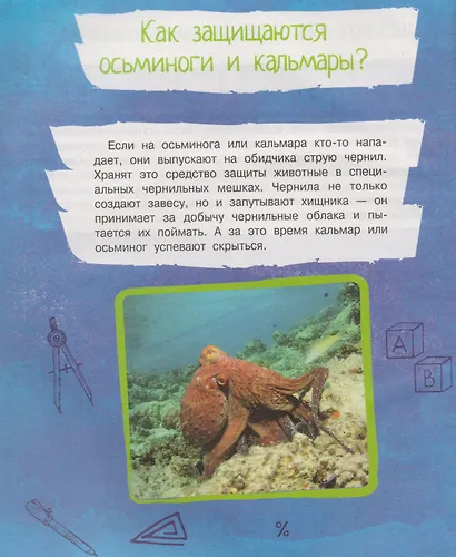 Почему так, а не иначе. Военное дело, растения, космос, животные. - фото 3