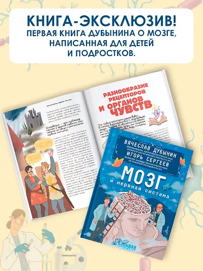 Мозг и нервная система - фото 5