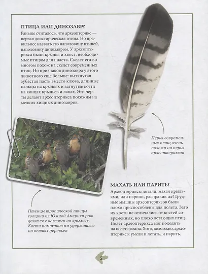 Динозавры. Энциклопедия в комиксах. Свирепые хищники - фото 6