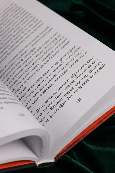 Черная метель - фото 12