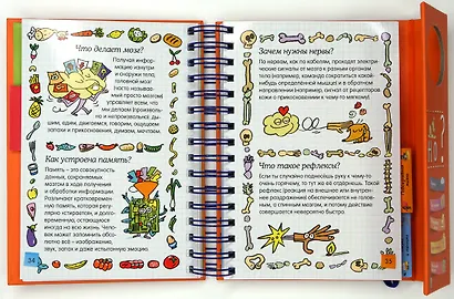 Как всё устроено? (энциклопедия на пружине) - фото 3