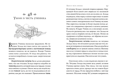 Септимус Хип. Книга 1. Магика - фото 6