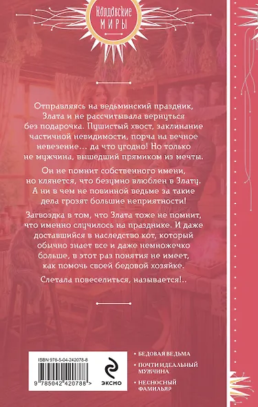 Мужчина из ведьминых грез - фото 2