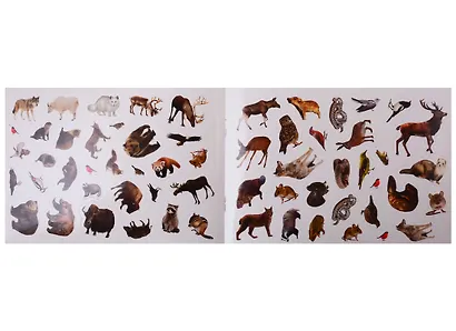 111 наклеек "Животные" (комплект из 3 книг) - фото 3