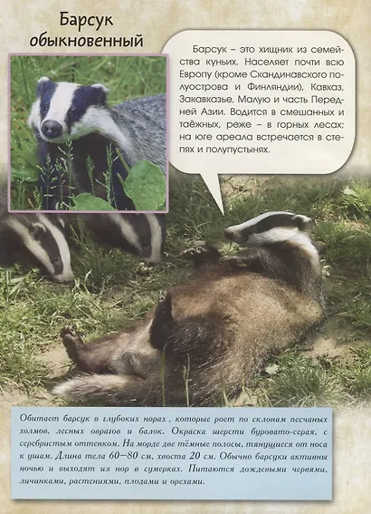 Живой мир природы. Европа - фото 3