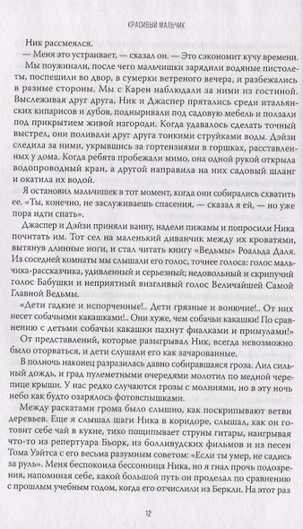 Красивый мальчик. Правдивая история отца, который боролся за сына - фото 8