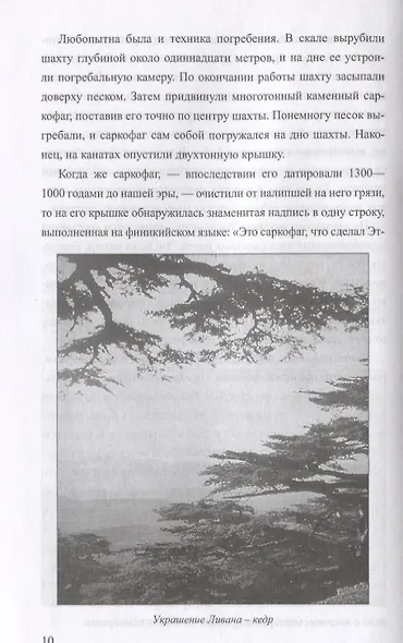 Загадки Финикии - фото 7