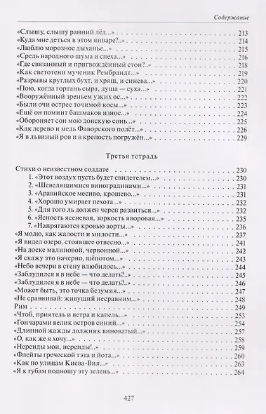 Воронежские тетради - фото 9