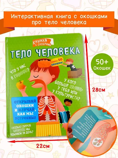 Тело человека - фото 3