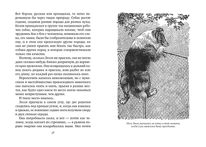 Лесси - фото 4