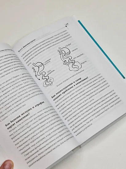 Кишечник работает. Мы отдыхаем - фото 9