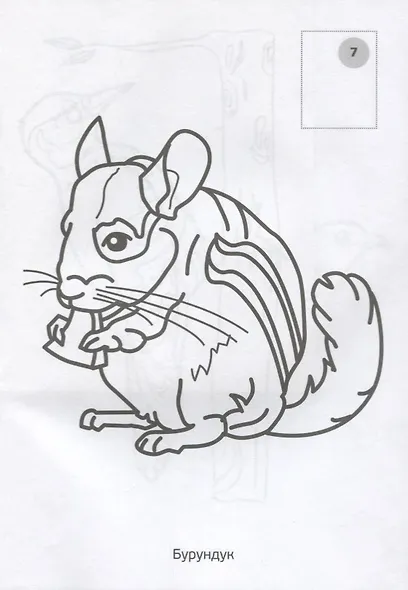 Лесные животные. (наклей и раскрась малый формат). - фото 4