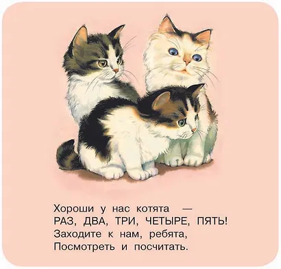 Котята - фото 10