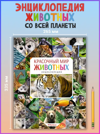 Красочный мир животных - фото 3
