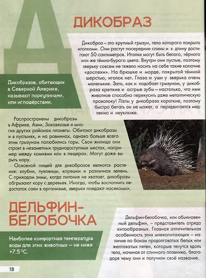 Животный мр от  А до Я лучшая детская энциклопедия - фото 6