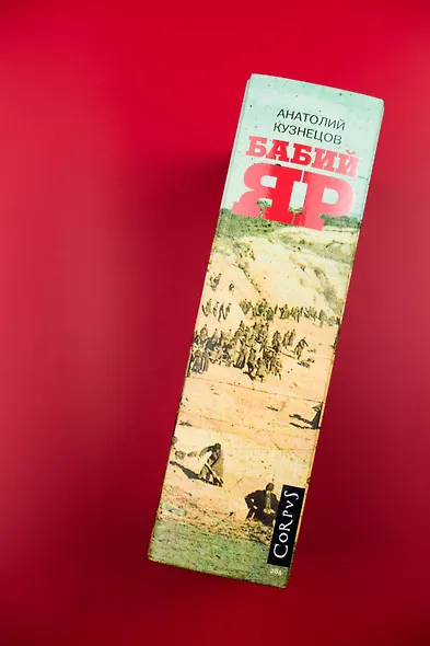 Бабий Яр: роман-документ - фото 7