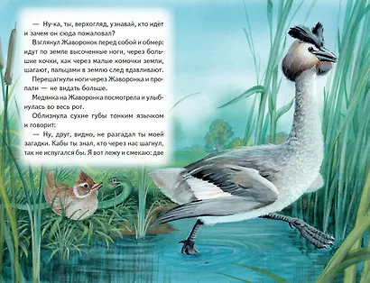 Рассказы о зверятах - фото 13