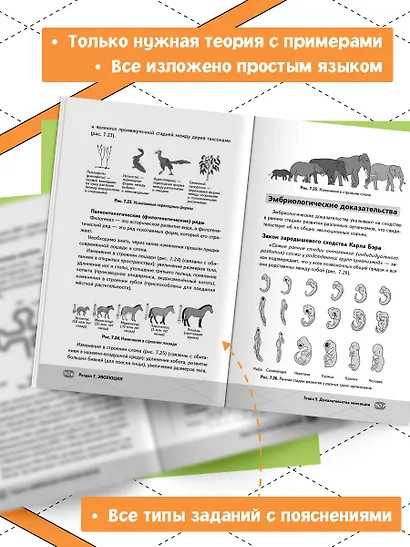 ЕГЭ. Биология - фото 5